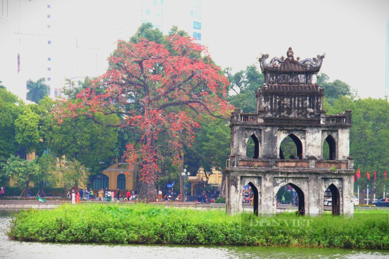 Bong Ha Noi Hostel Hanoi Bagian luar foto